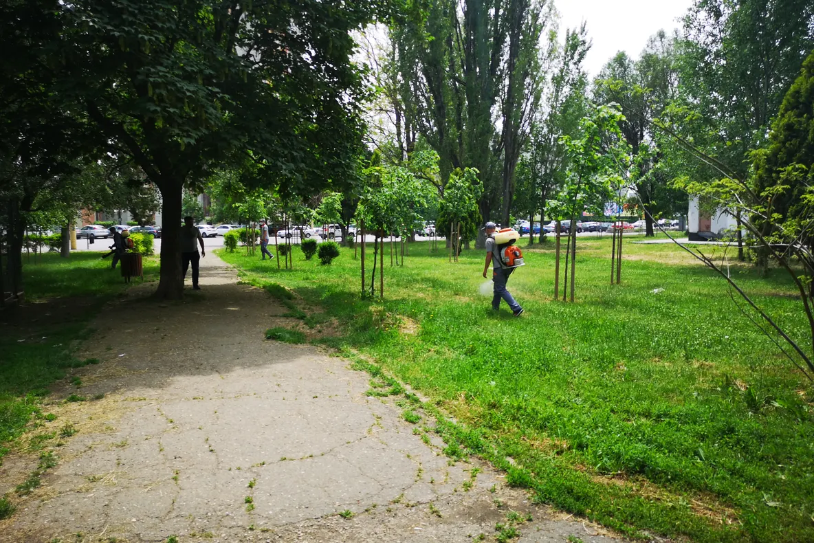 Acțiunea de dezinsecție în Constanța a fost accelerată