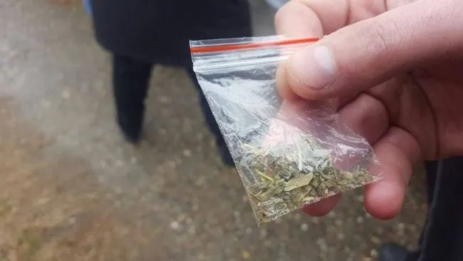 FOTO|Tineri prinși cu droguri în Vama Veche și Mamaia