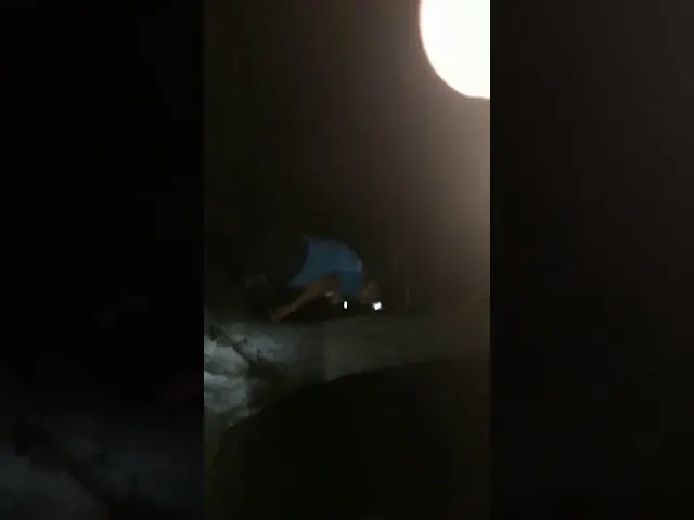 Sute de „pirați rutieri”, depistați de polițiști