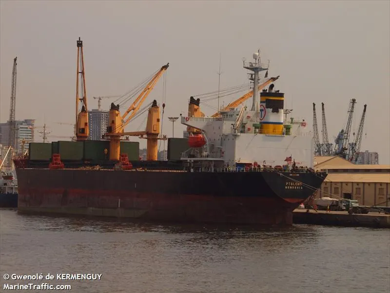 Sindicatul Liber al Navigatorilor: Marinari români fără bani și alimente la bordul a două nave