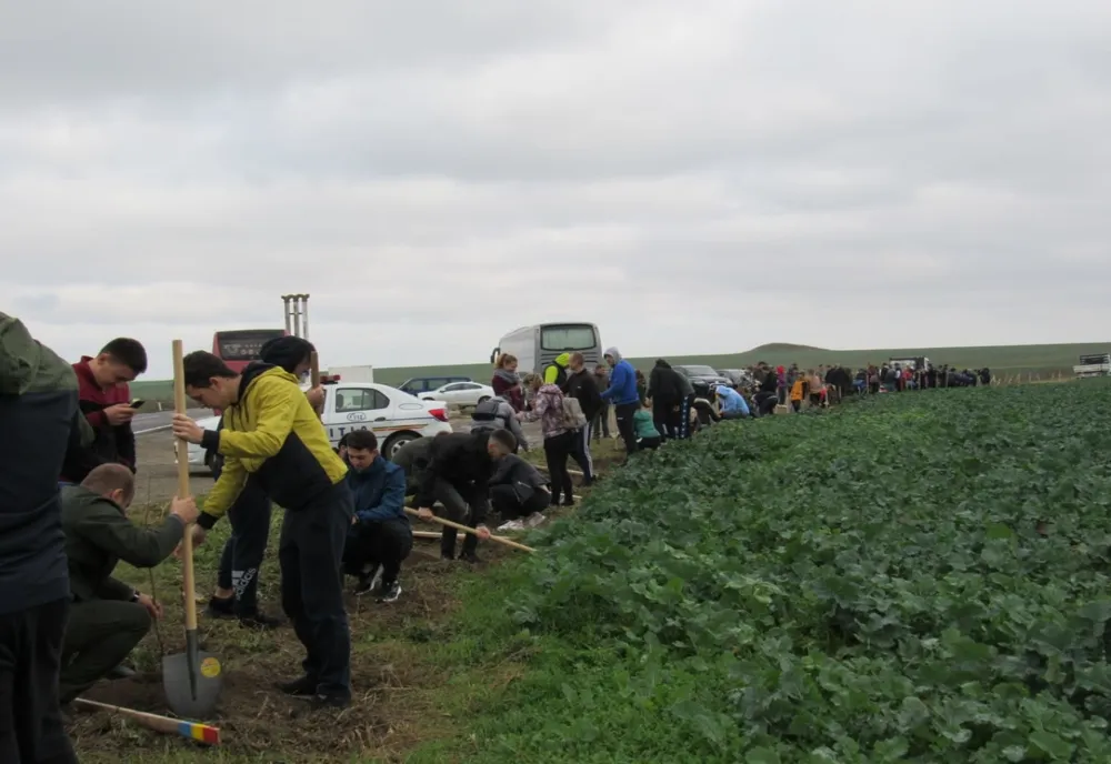 FOTO| 141 de stejari plantați pentru 141 de ani de la reintegrarea Dobrogei la teritoriul național
