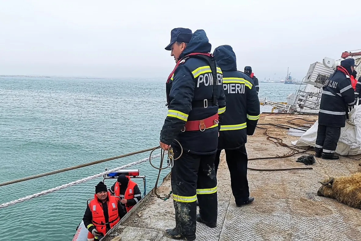 Autoritățile vor face decupaje în corpul navei răsturnate în Portul Midia pentru a scoate mai ușor oile rămase în viață