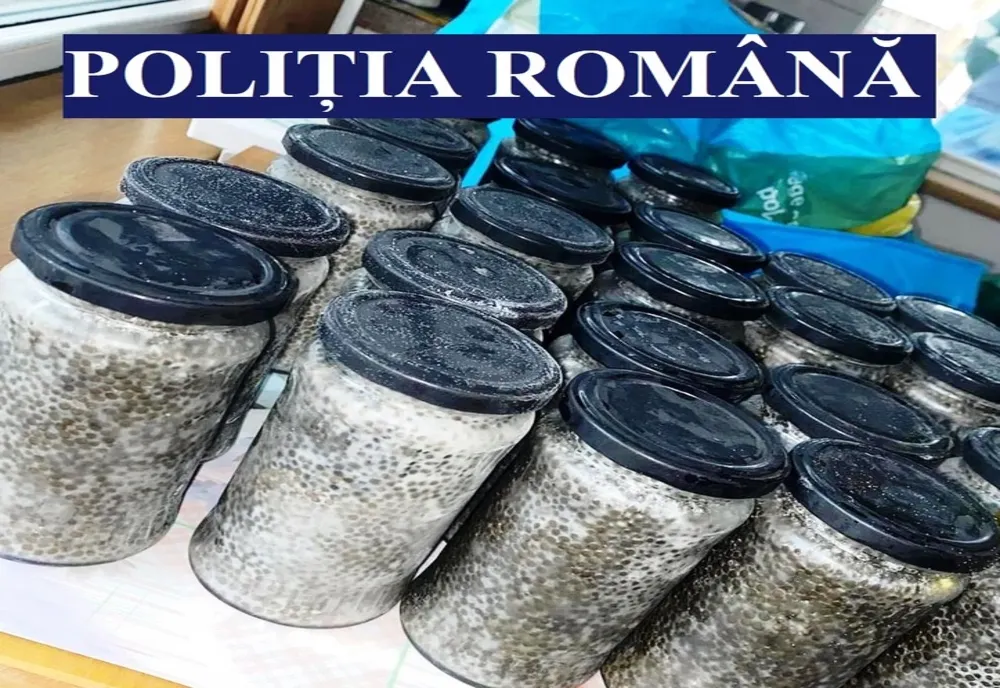 Acțiune de amploare, flagrant, percheziții, la braconierii din Ialomița