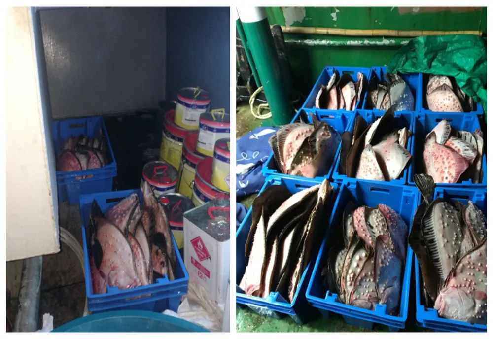 	231 de kg de calcan nedeclarat, descoperit la bordul unui pescador