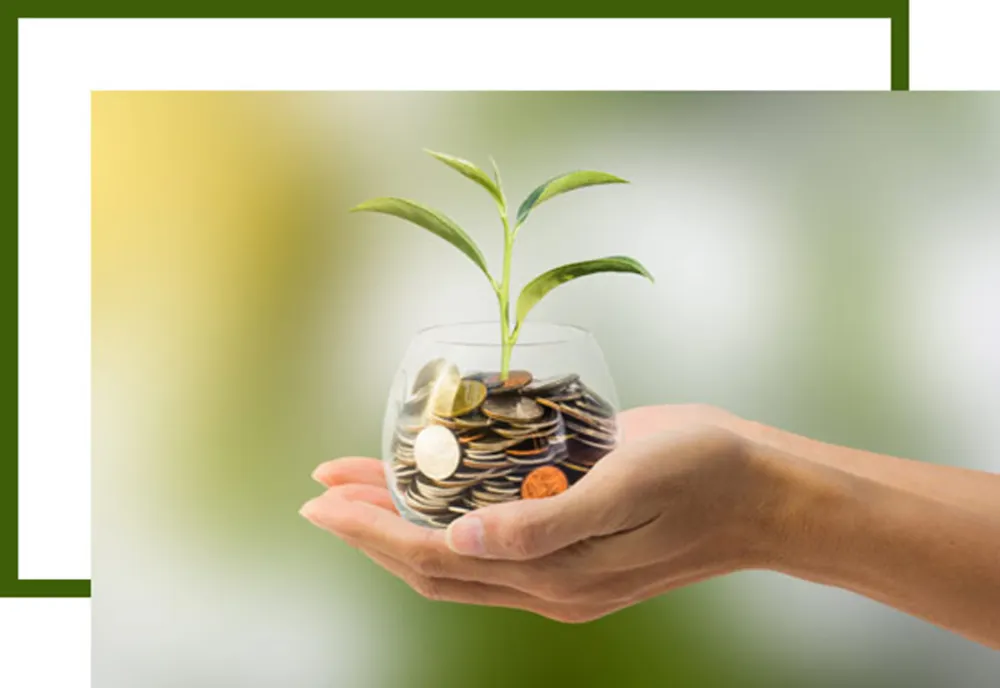 BNR și ASF organizează evenimente dedicate educației financiare în cadrul Global Money Week