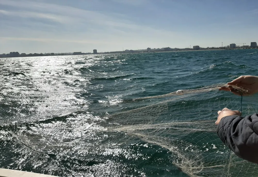 Expediții științifice de evaluare a stocurilor de rapana în Marea Neagră