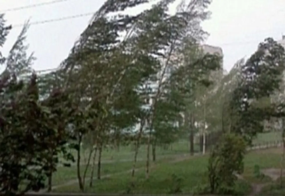 Alertă meteo. Cod galben de vreme severă imediată  în județele Constanța și Tulcea