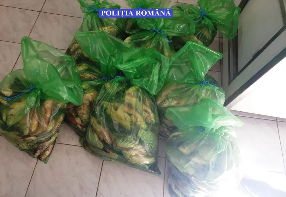 Constănțean prins cu 170 de kilograme de pește la Fetești