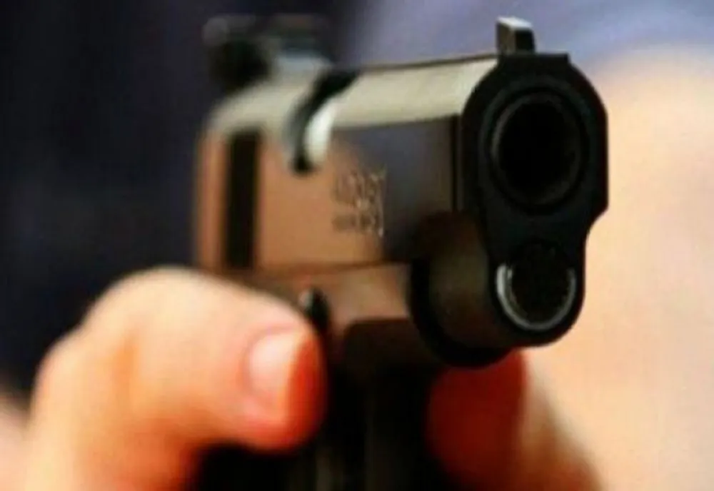 Copil de 13 ani, împușcat de un polițist în Tulcea, în timpul unei intervenții