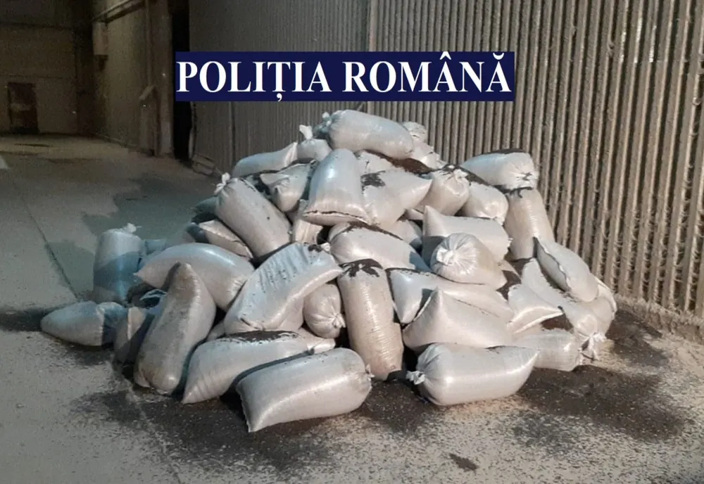 FOTO Percheziții la Constanța. Peste 12 tone de seminţe de floarea-soarelui, furate de pe o barjă 