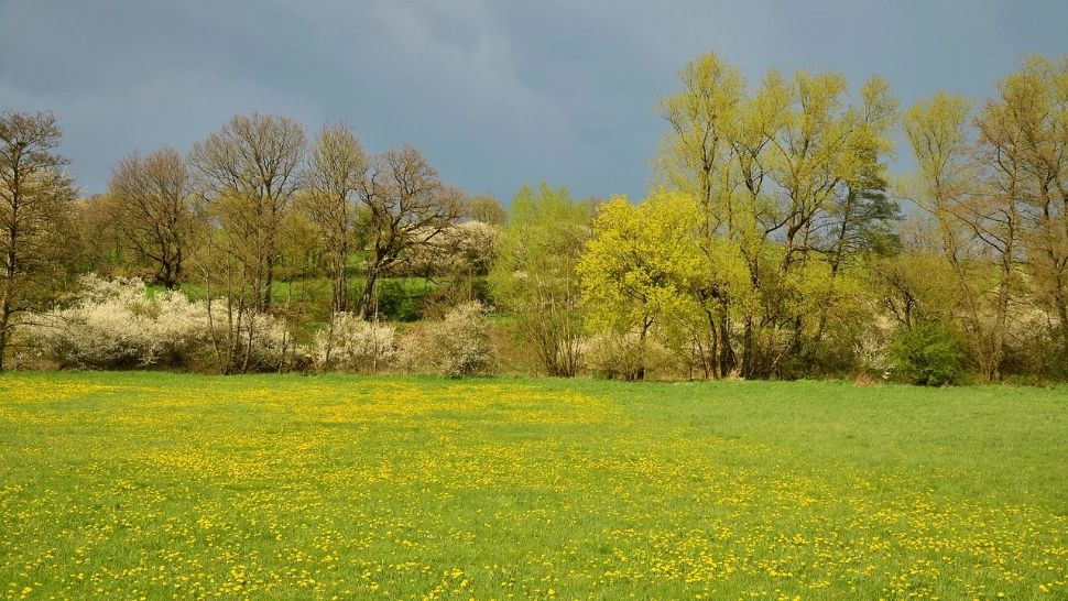 Se strică vremea chiar de 1 Mai: frig, ploi și temperaturi sub normal în toată țara