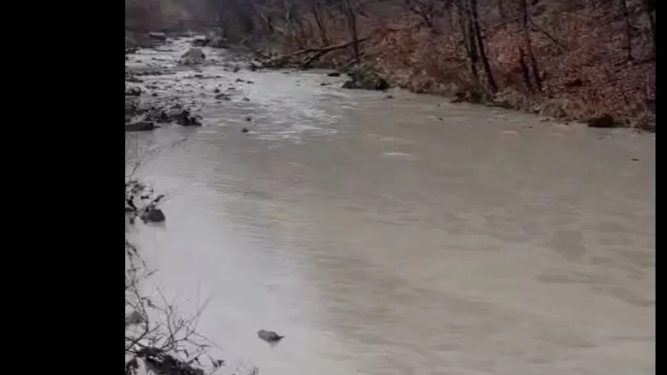 Cod galben de inundații în patru județe, până duminică dimineață. Avertismentul hidrologilor