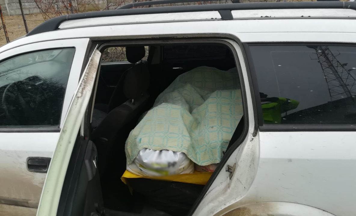 Sute de kilograme de pește de contrabandă, confiscate de polițiștii de frontieră