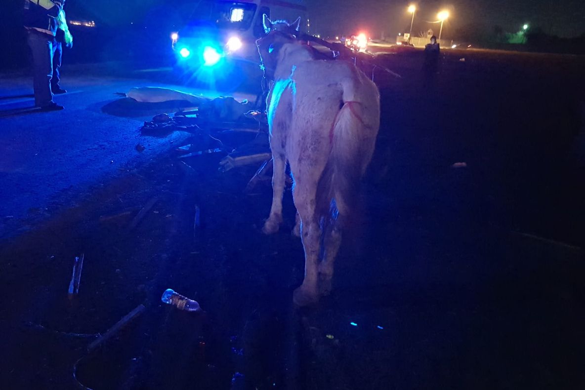 FOTO VIDEO| Căruță spulberată de o mașină