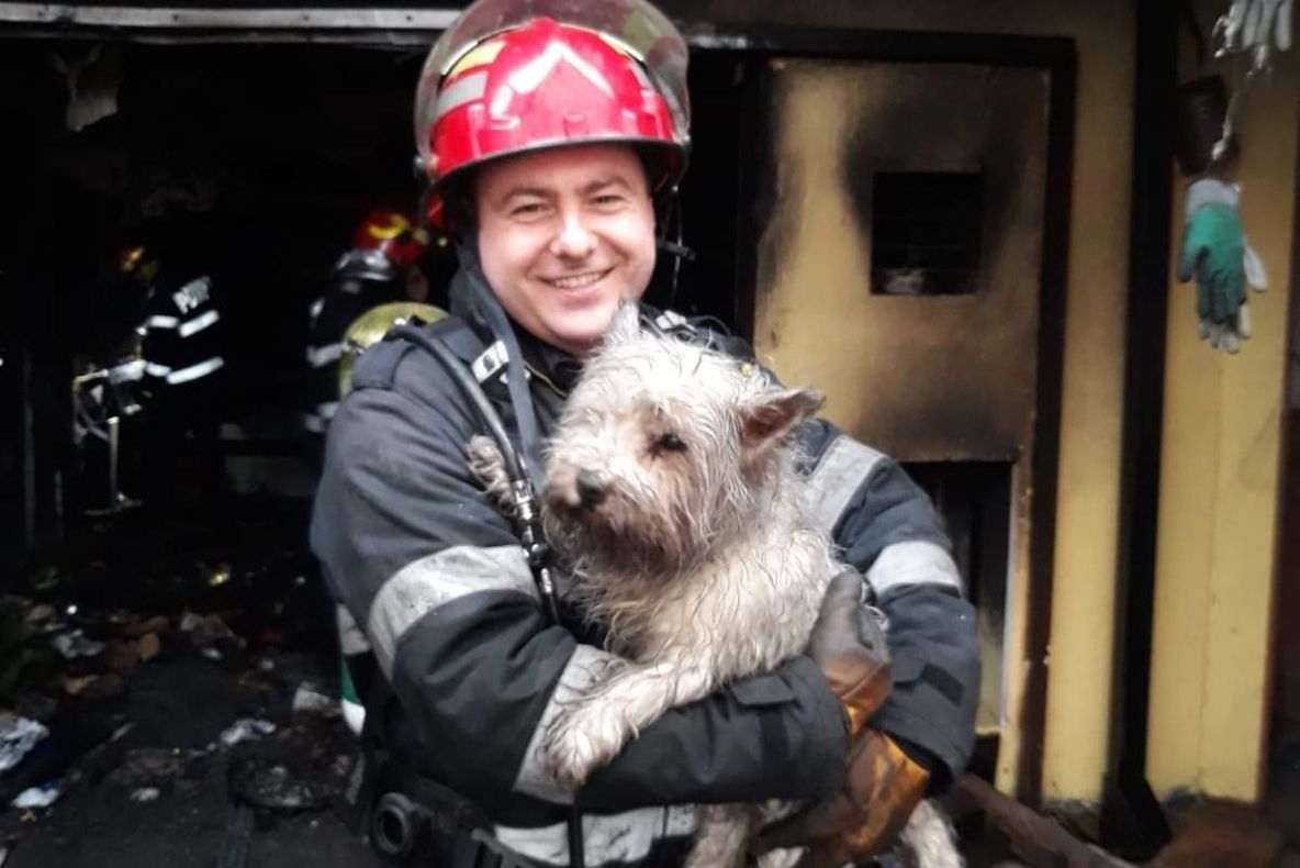 Moment emoționant. Salvare miraculoasă făcută de pompieri