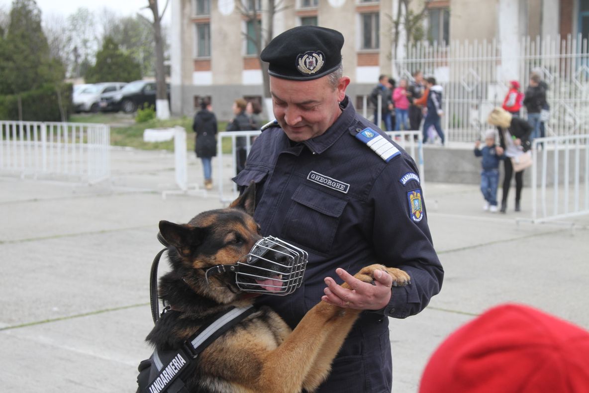 Ziua Porților Deschise la Gruparea de Jandarmi Mobilă