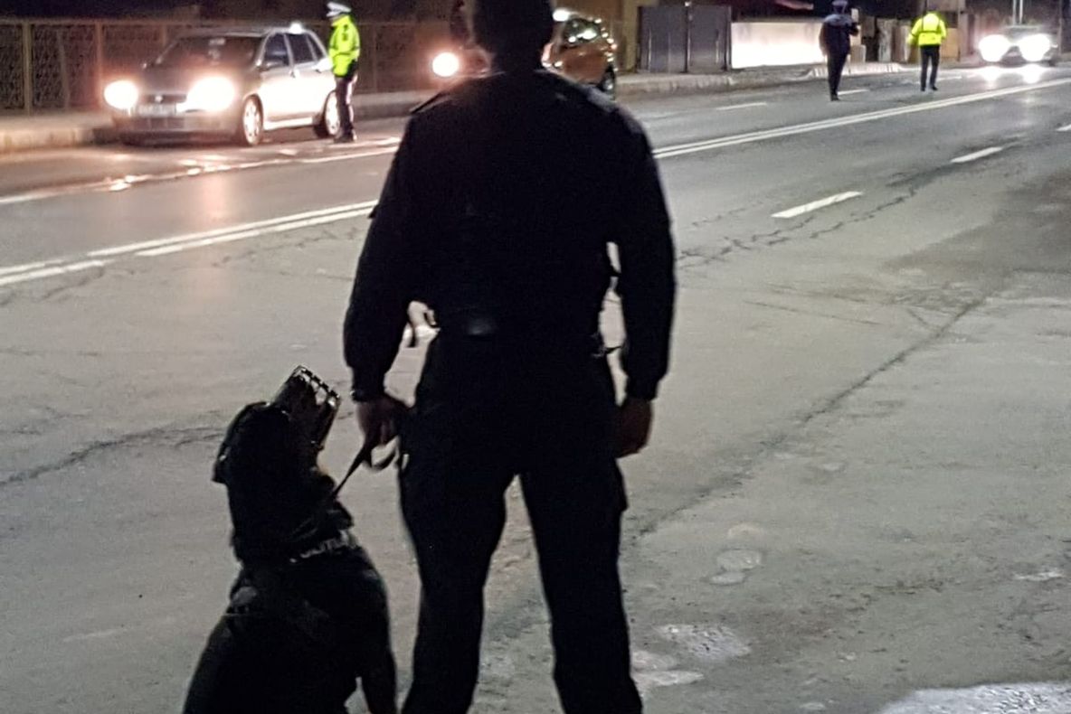 Șase fete obligate să se prostitueze, eliberate de poliţiştii constănțeni