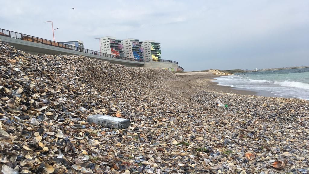 FOTO! Pachete cu droguri găsite pe plajă duminică dimineața