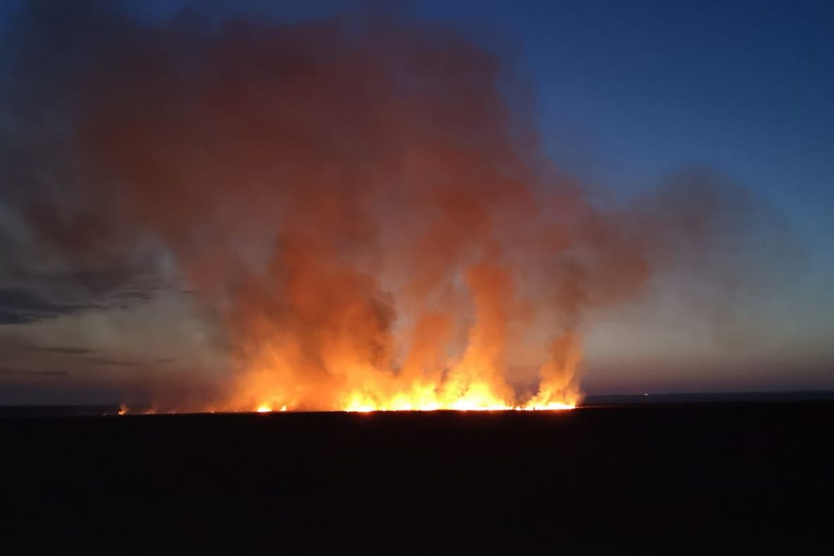 VIDEO| Incendiu de proporții la Vadu. Ard 200 de hectare de vegetație uscată