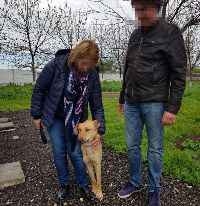 Zeci de cereri de adopție depuse la Adăpostul pentru animale fără stăpân din Constanța