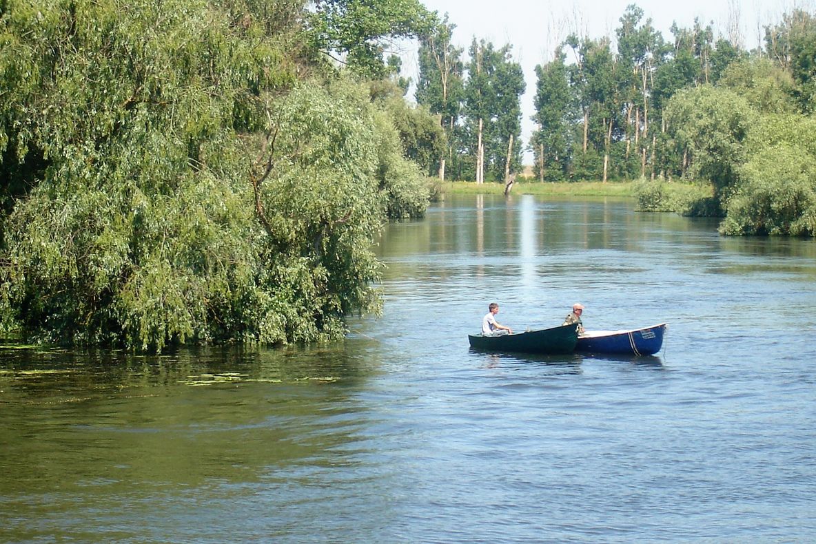 De ce aveți nevoie dacă mergeți la pescuit în Delta Dunării