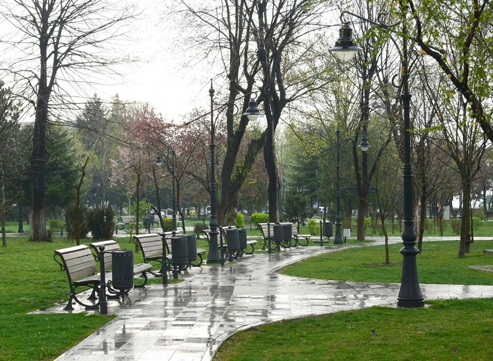 Cod galben la Constanța