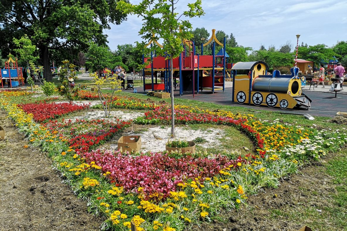 Zeci de mii de flori colorează Țara Piticilor din Parcul Tăbăcărie