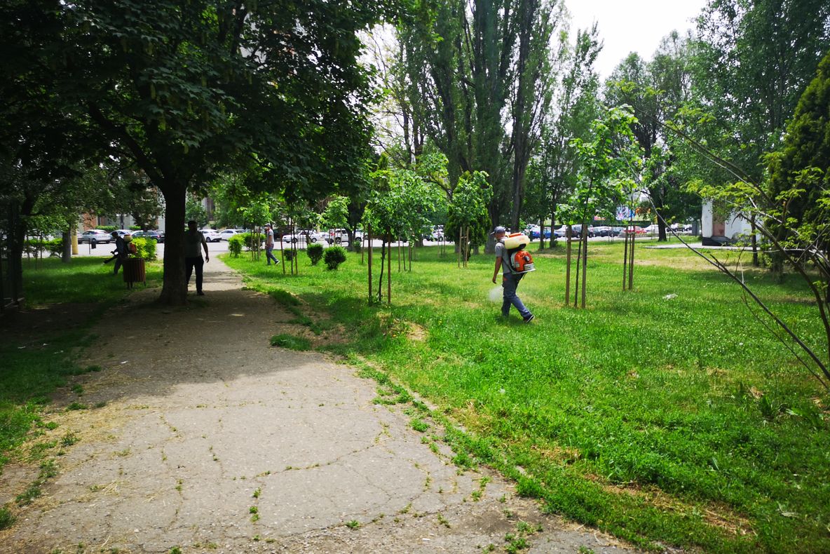 Acțiunea de dezinsecție în Constanța a fost accelerată