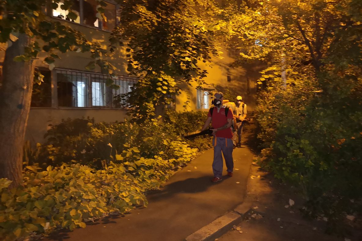 Continuă dezinsecția în municipiul Constanța!