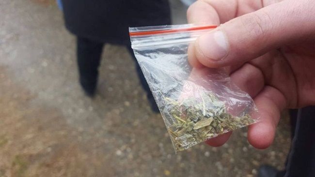 FOTO|Tineri prinși cu droguri în Vama Veche și Mamaia