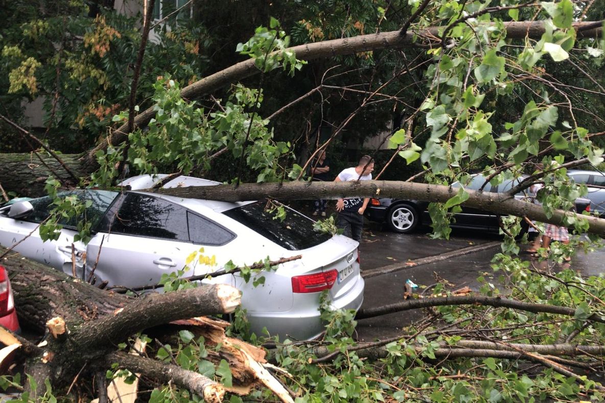 FOTO VIDEO| Furtună la Constanța. Copaci doborâți peste mașini, străzi inundate