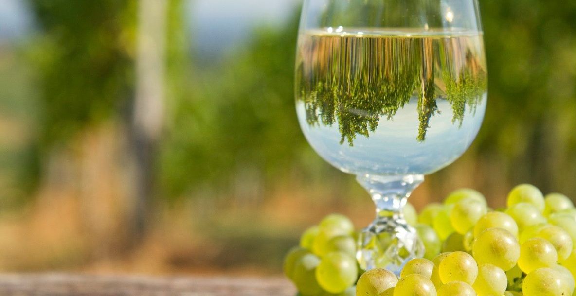 Festivalul Vinului Dobrogean Pontus Euxinus, între istorie și tradiție