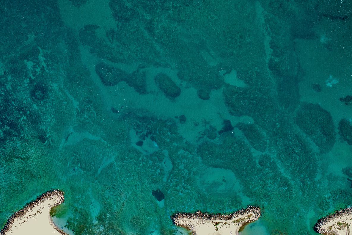 Ziua internațională a Mării Negre, prilej de sărbătoare și reflecție