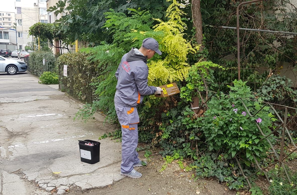 Primăria Constanța a reluat acțiunile de deratizare în municipiu