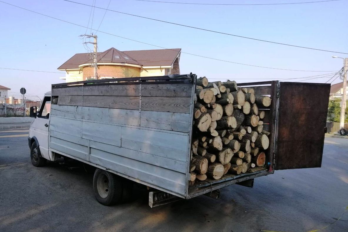 Transport ilegal de lemne depistat de jandarmii constănțeni