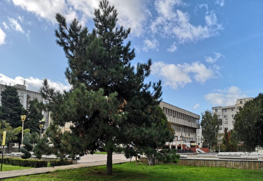 Parcul de la Casa de Cultură poartă de acum numele “Parcul Regina Maria”