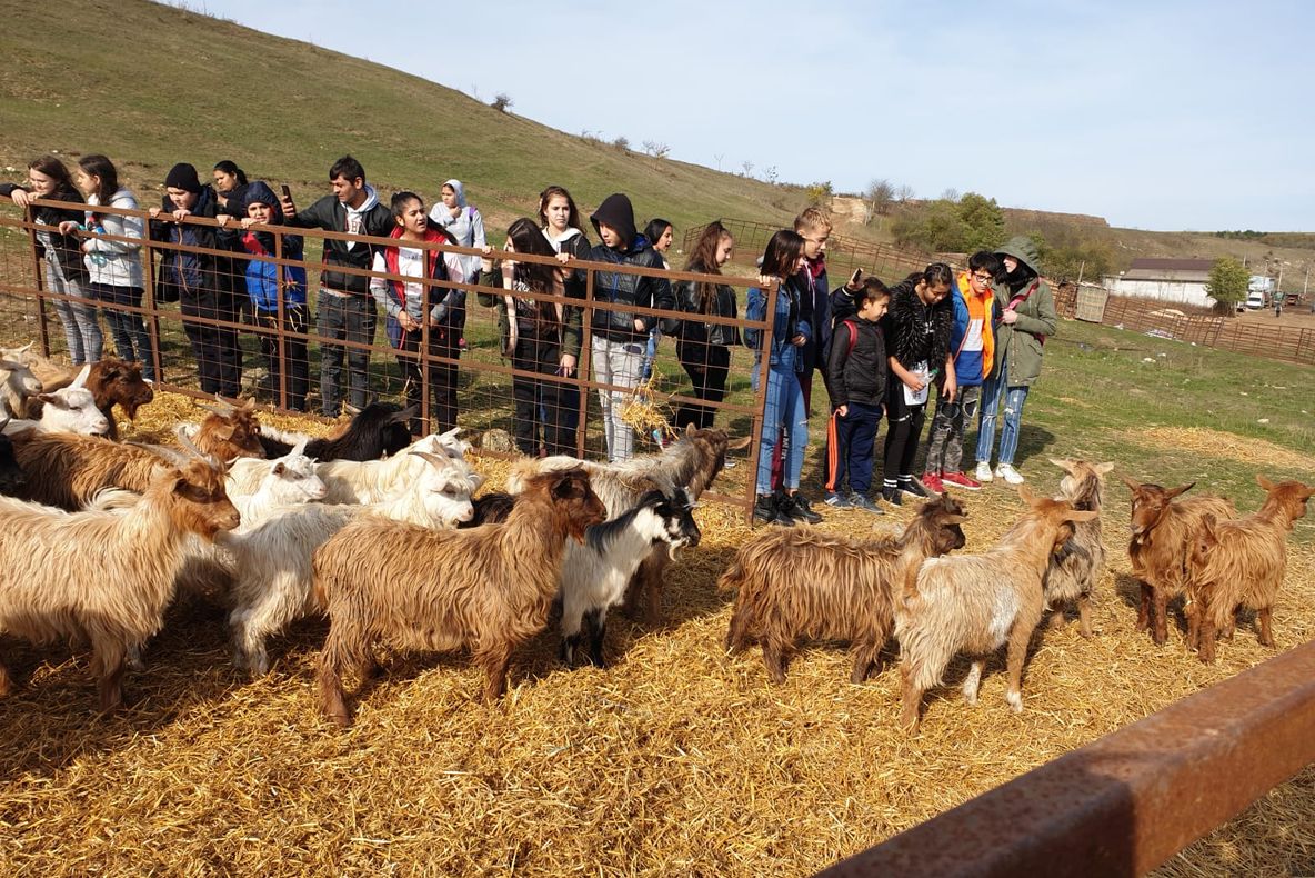 FOTO| "Smântânitul oalelor", un crâmpei din viața la țară pentru elevii constănțeni
