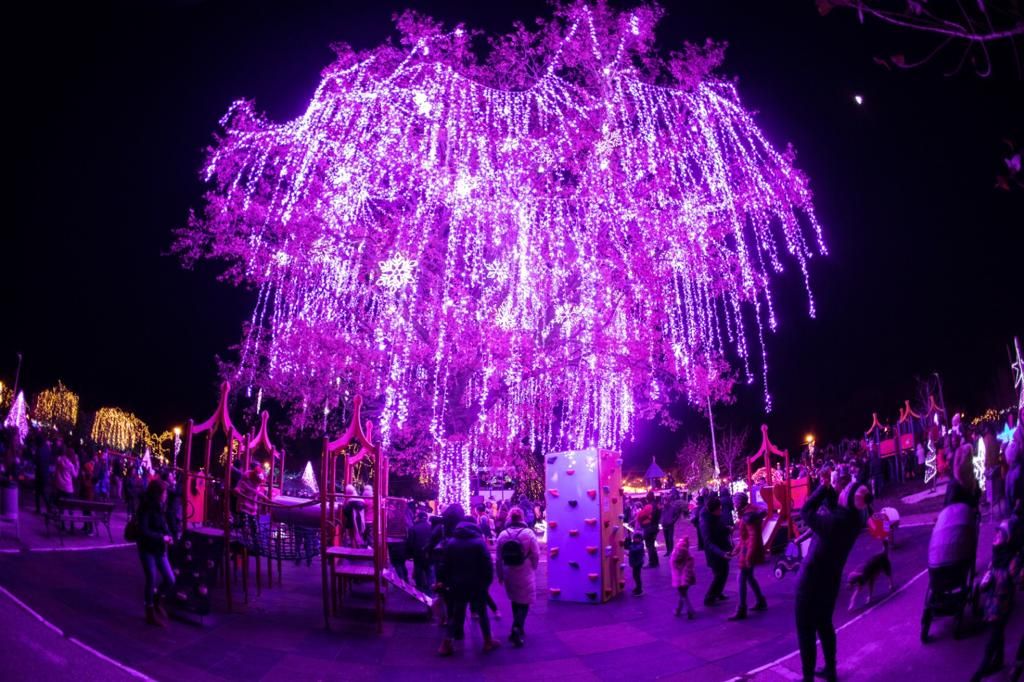 Șase zile magice de Crăciun la Festivalul Iernii