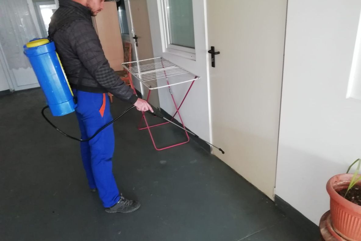 Dezinsecție în campusul social Henri Coandă