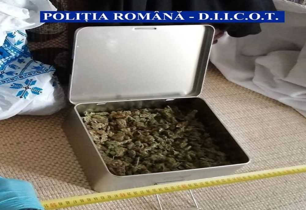 Percheziții la traficanți de droguri din Giurgiu și București. Droguri procurate din Constanța