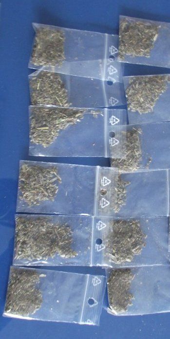 Prinși de jandarmi cu buzunarele pline de droguri