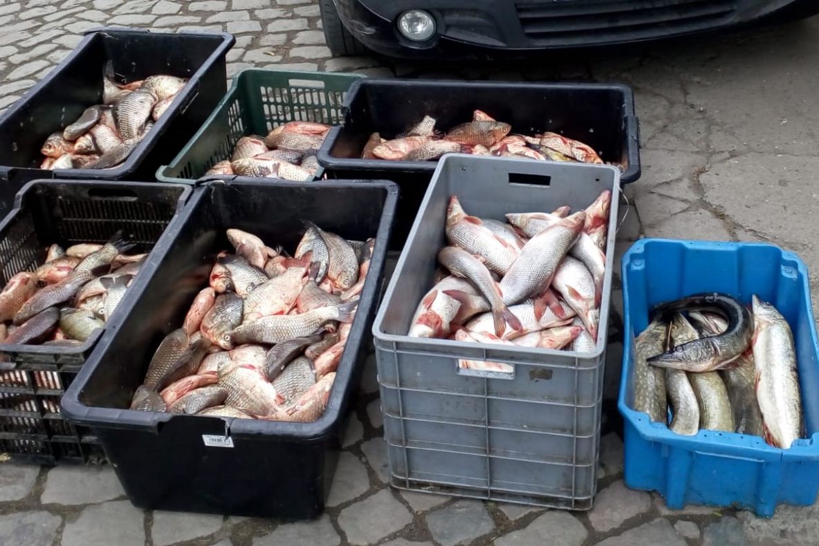Jandarmii la „pescuit”... prin târg