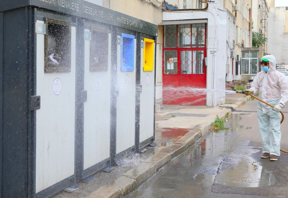 Zonele în care se acționează pentru dezinfecția platformelor de deșeuri