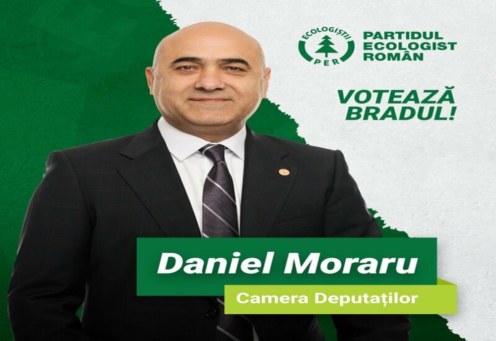 În România în ultimii 20 de ani s-au tăiat ilegal 366.000 ha de pădure