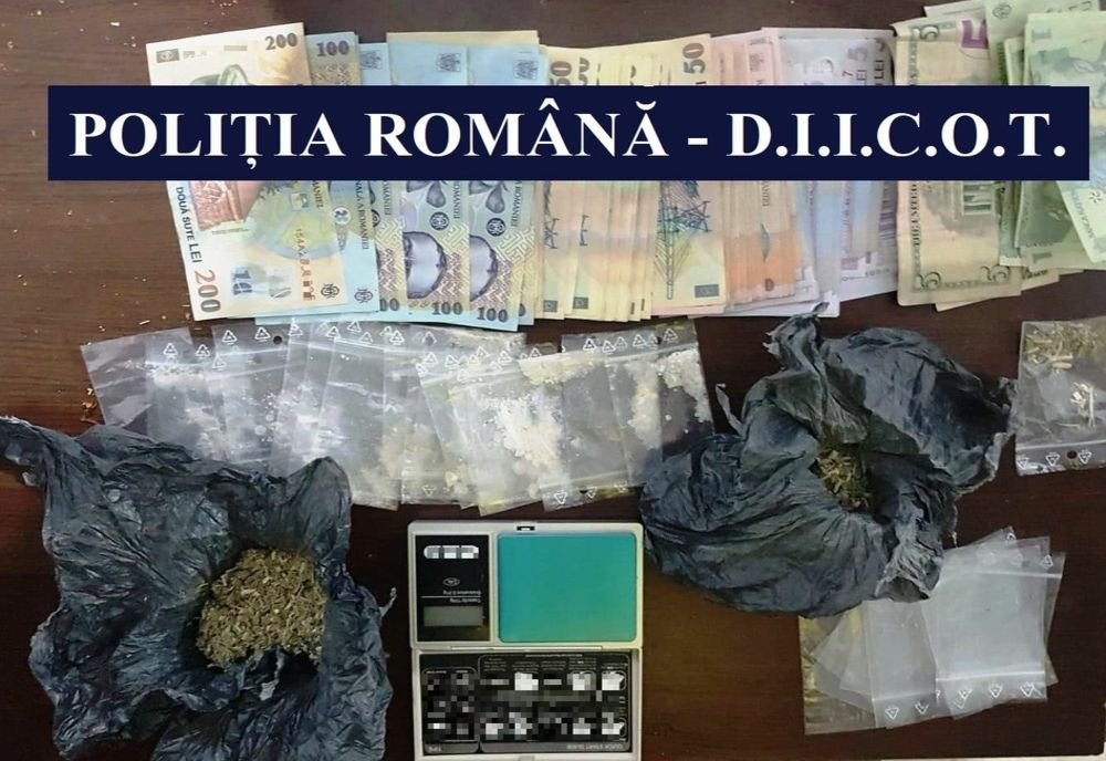 VIDEO| Percheziții de amploare. Etnobotanice din China și Olanda, vândute în Constanța și Mureș