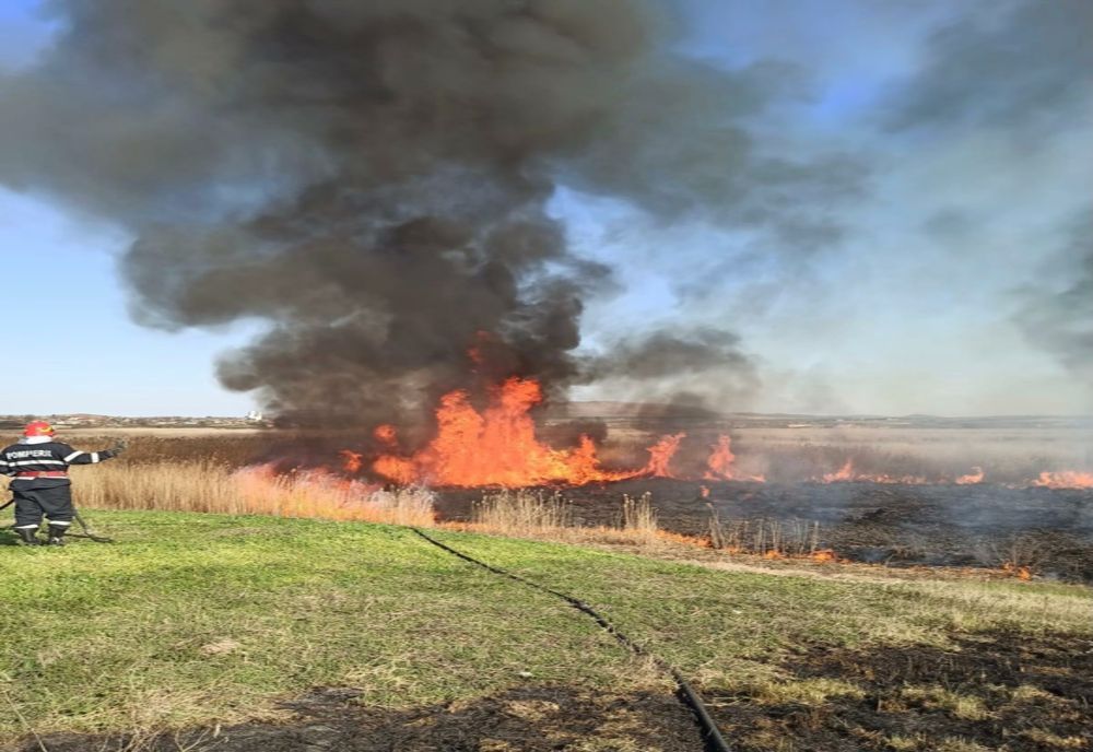 FOTO VIDEO| 3 hectare de vegetație uscată și stuf s-au făcut scrum în Tulcea