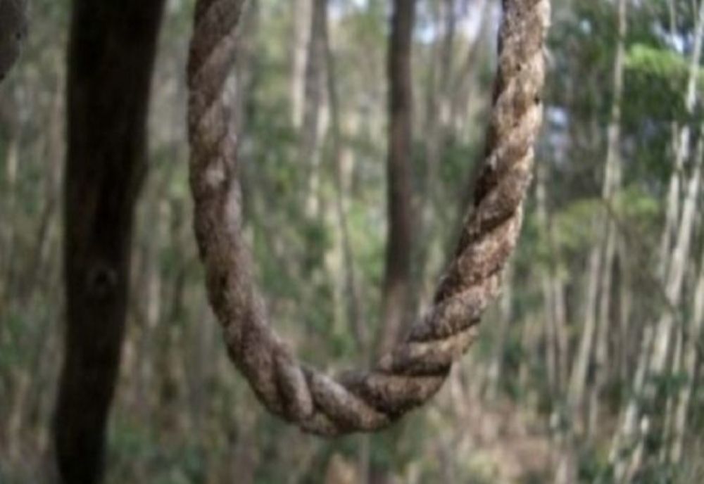 Bărbat găsit spânzurat în pădure