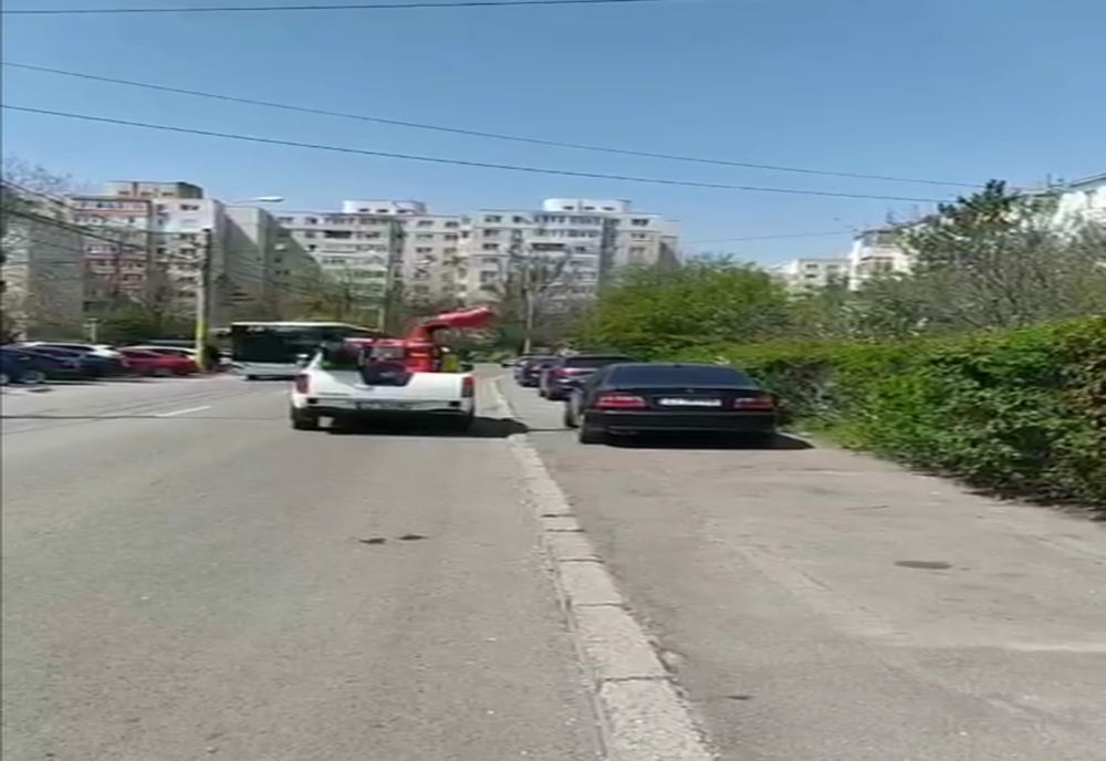 Începe dezinsecția în municipiul Constanța