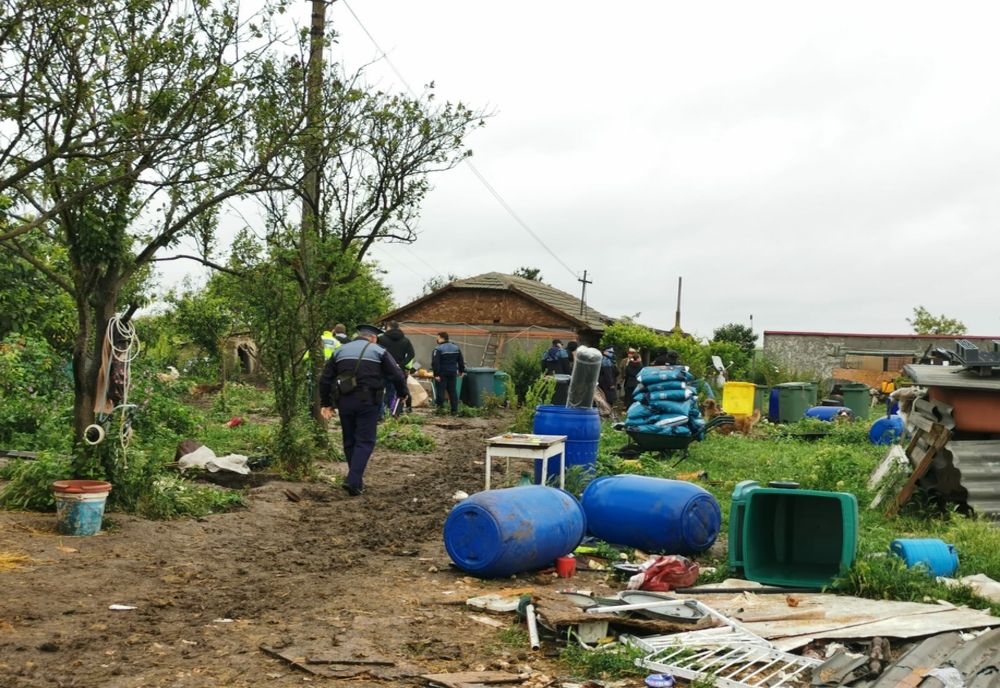 FOTO VIDEO Percheziții la adăpostul improvizat din Amzacea.150 de animale salvate