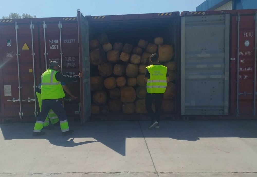 FOTO| Patru containere cu buşteni, descoperite în Portul Constanța Sud Agigea. Urmau să fie exportate în Pakistan